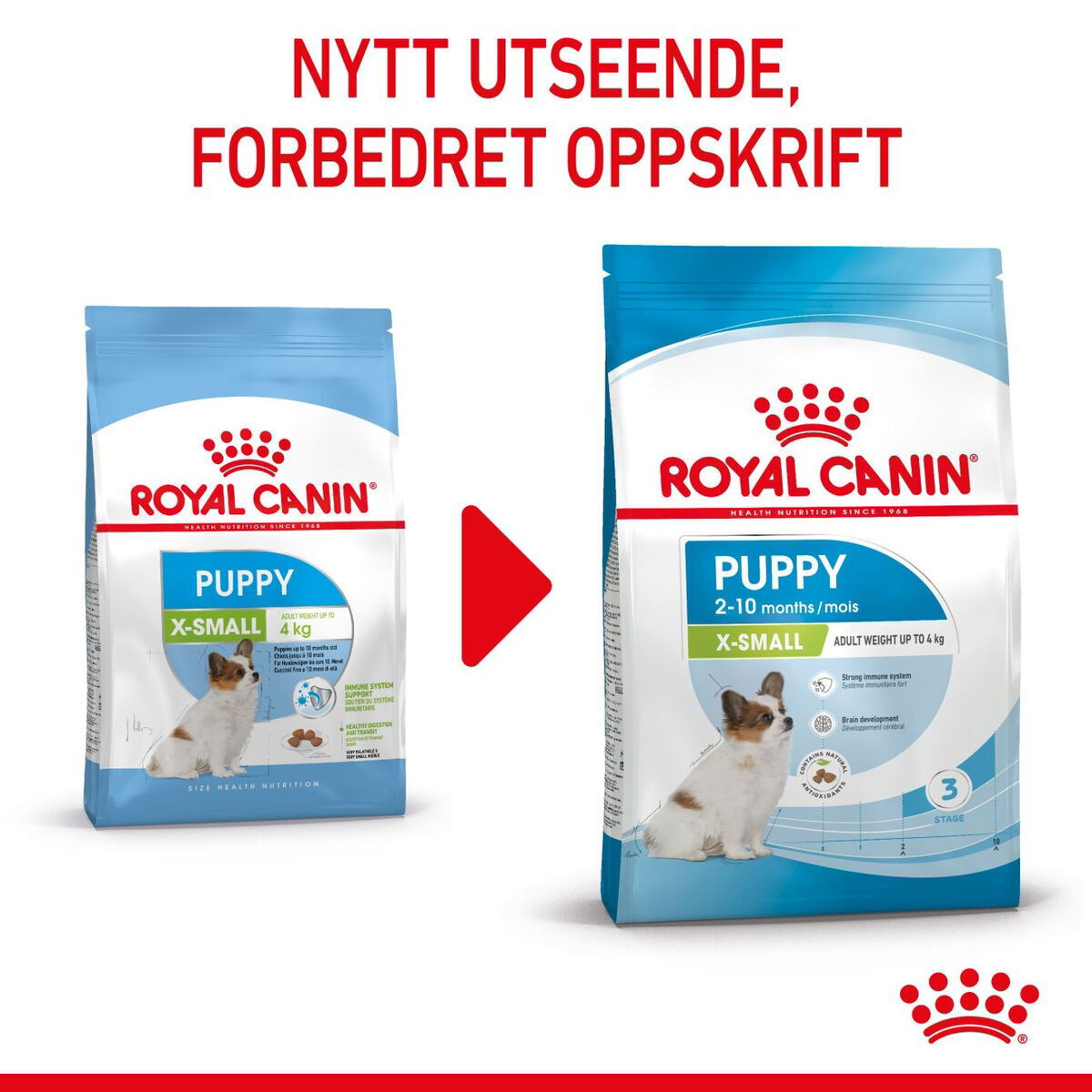Royal Canin X-small Puppy tørrfôr til valp