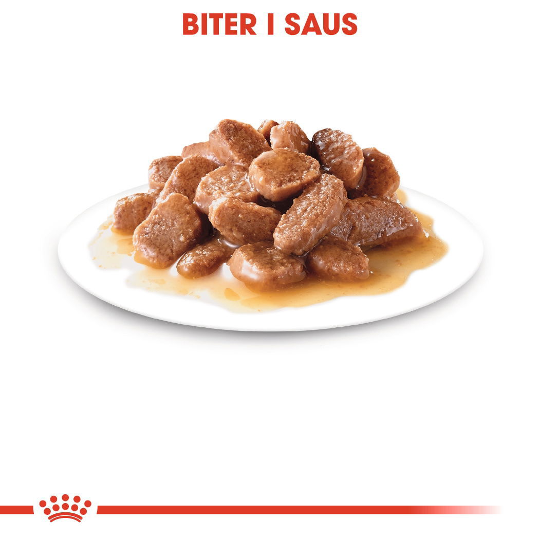 Royal Canin Ageing 12+ Gravy våtfôr til katt