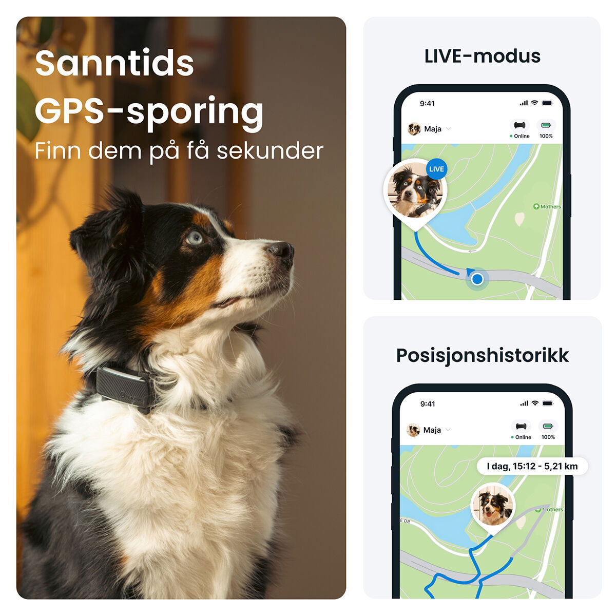 Tractive for DOG 6 tracker