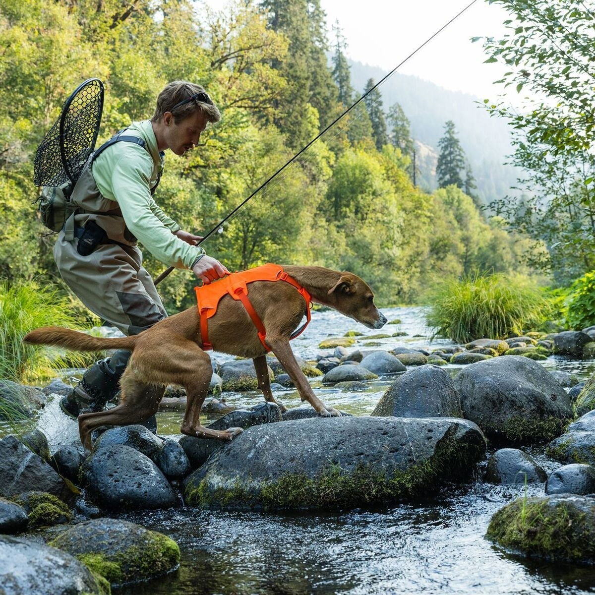 Ruffwear Web Master harness, Blaze Orange