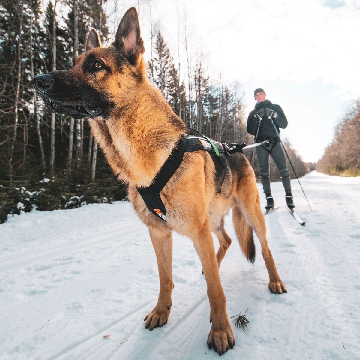 Non-stop Freemotion Trekksele 