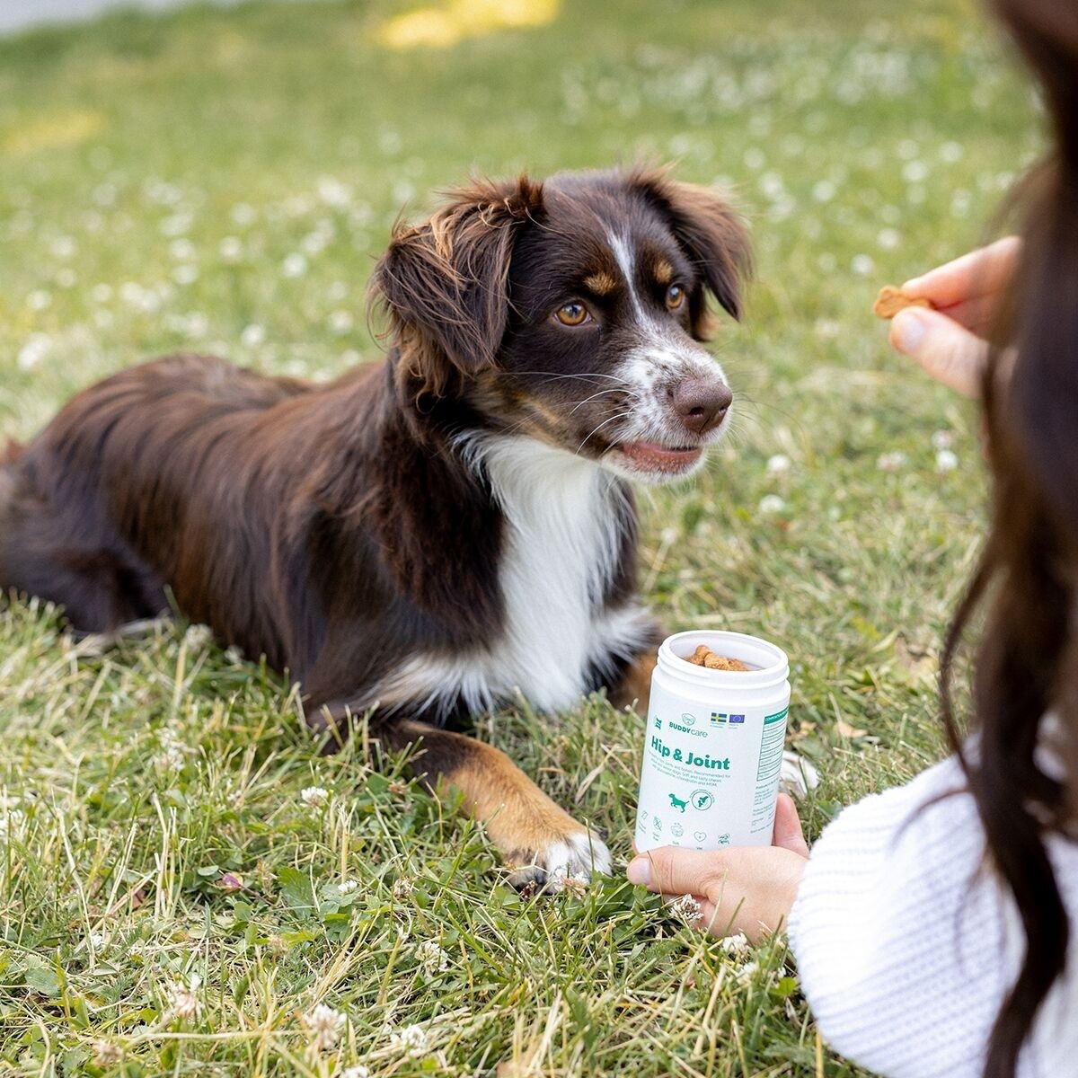 BuddyCare Hip & Joint 150g