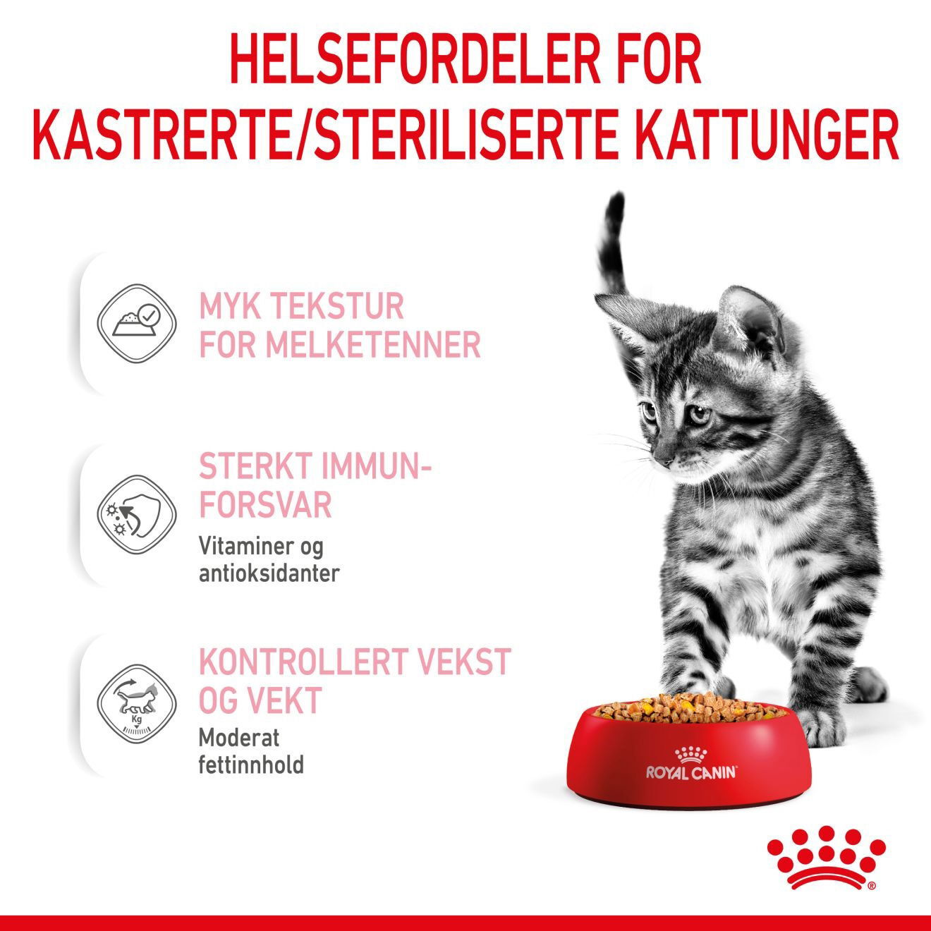 RC FHN Kitten Sterilised Jelly 12x85g