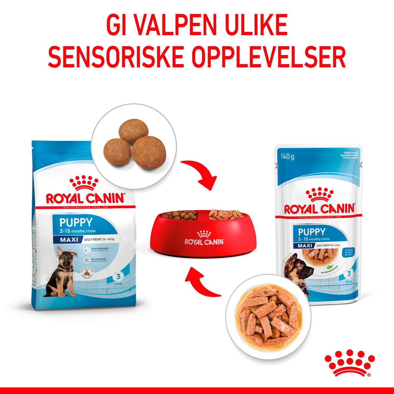 Royal Canin Maxi Puppy Gravy våtfôr til valp