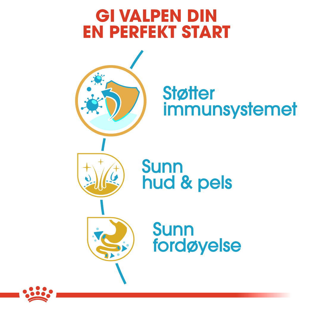 Royal Canin Golden Retriever Puppy tørrfôr til hundvalp