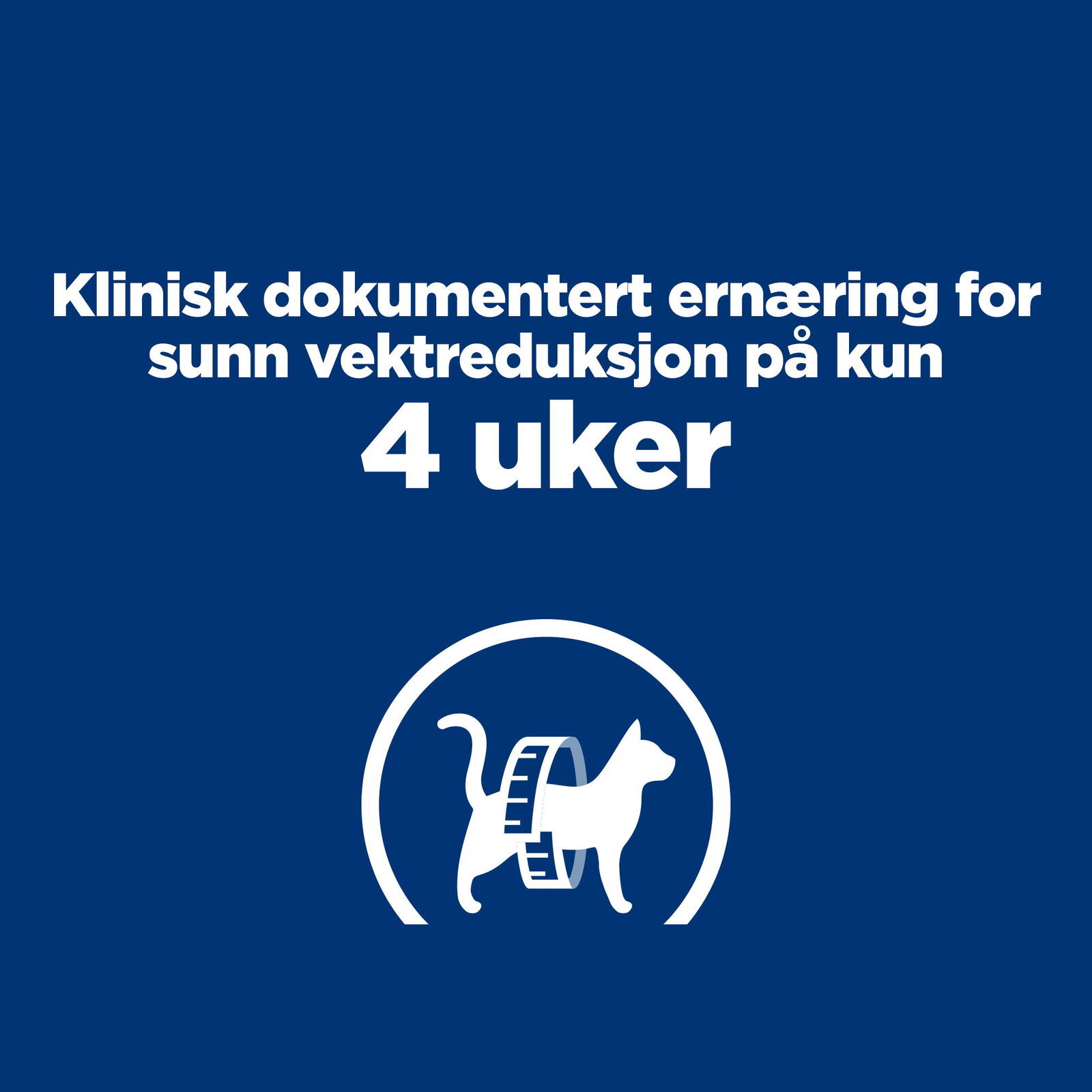 Hills Diet Cat r/d 1,5kg