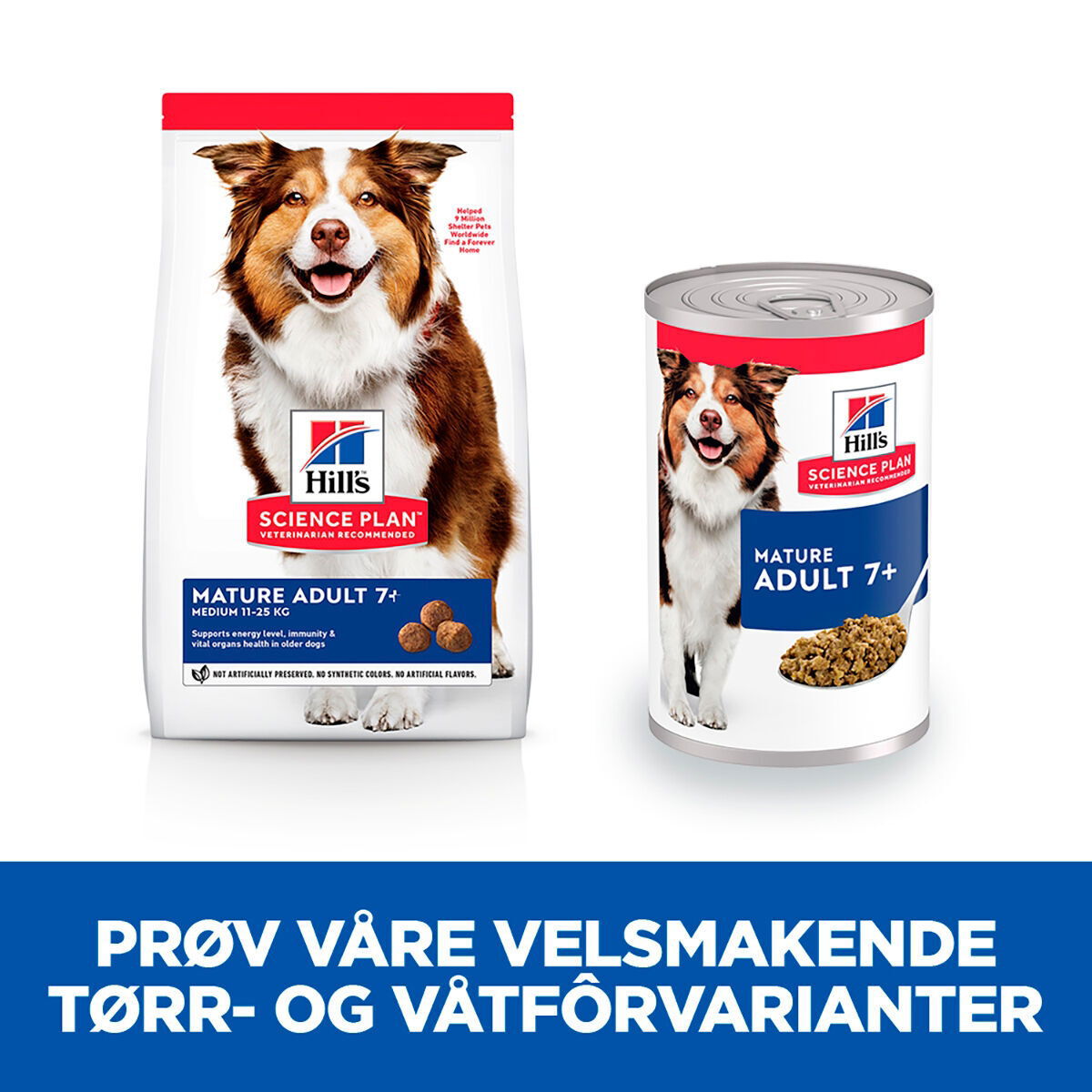 Hill's SP Canine Mature Beef