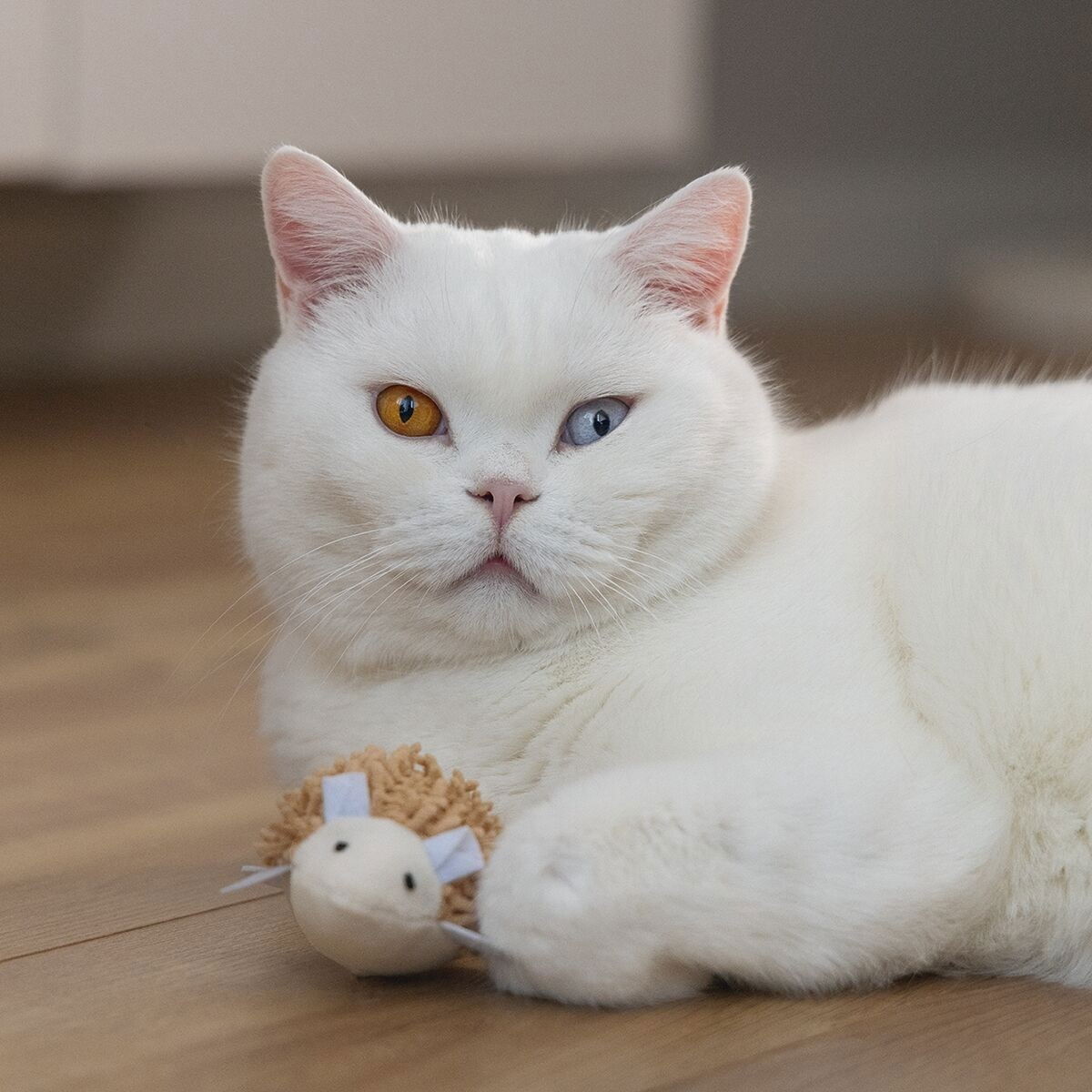 Beeztees Eco Cat Hedgehog Mozi