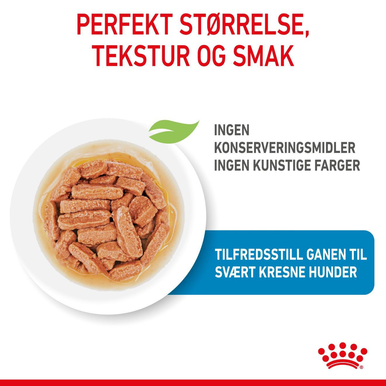 Royal Canin Medium Puppy Gravy våtfôr til valp