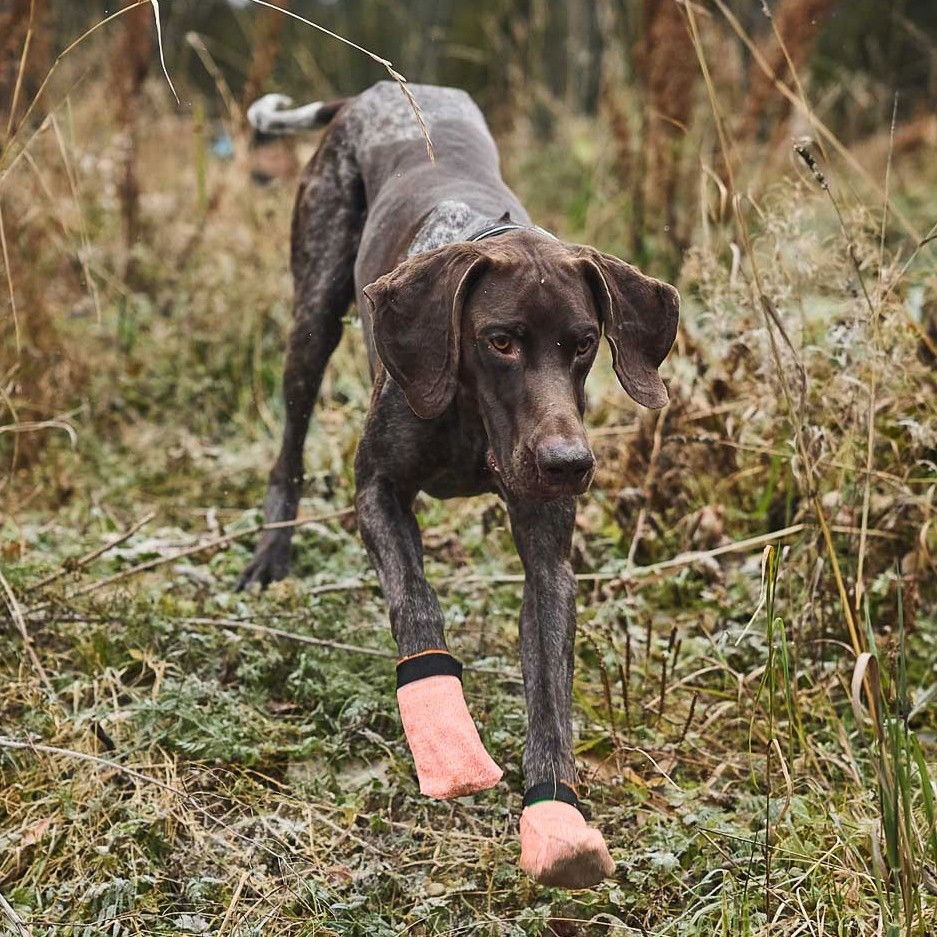Non-Stop Protector light socks 4-pack
