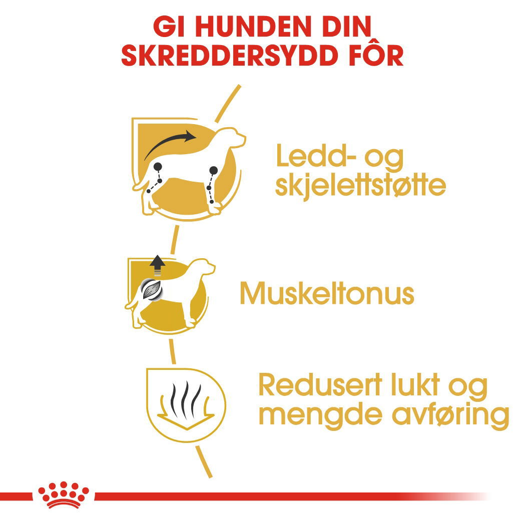 Royal Canin Dachshund Adult tørrfôr til hund