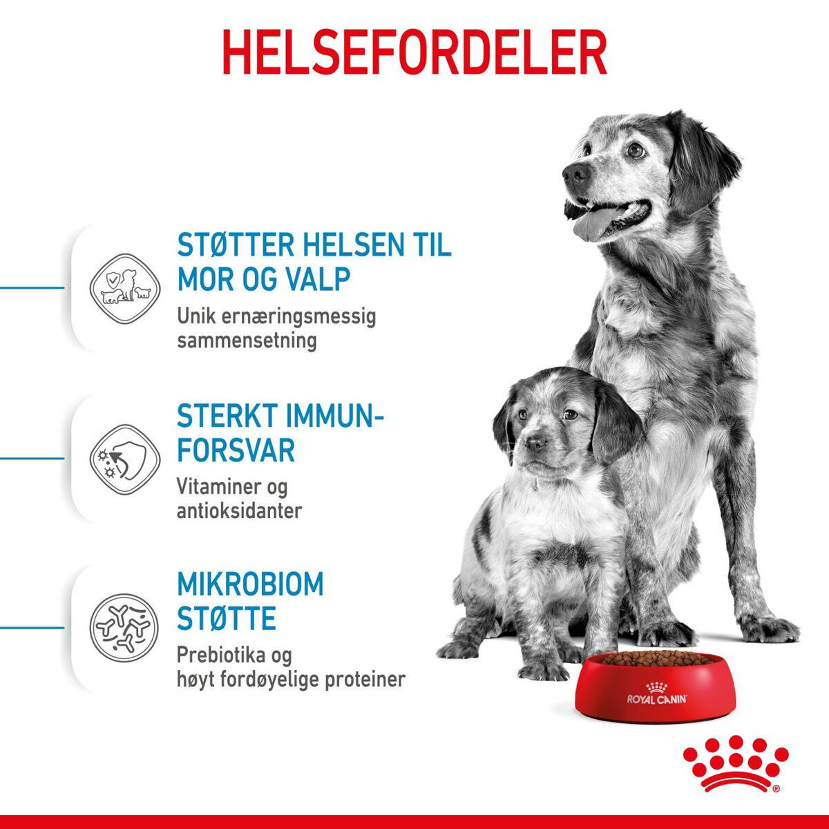 Royal Canin Medium Starter tørrfôr til hund og valp