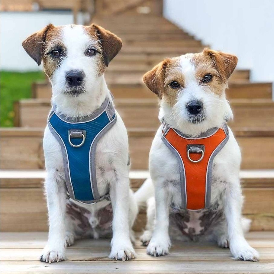 Hurtta Venture No-Pull Harness bilberry