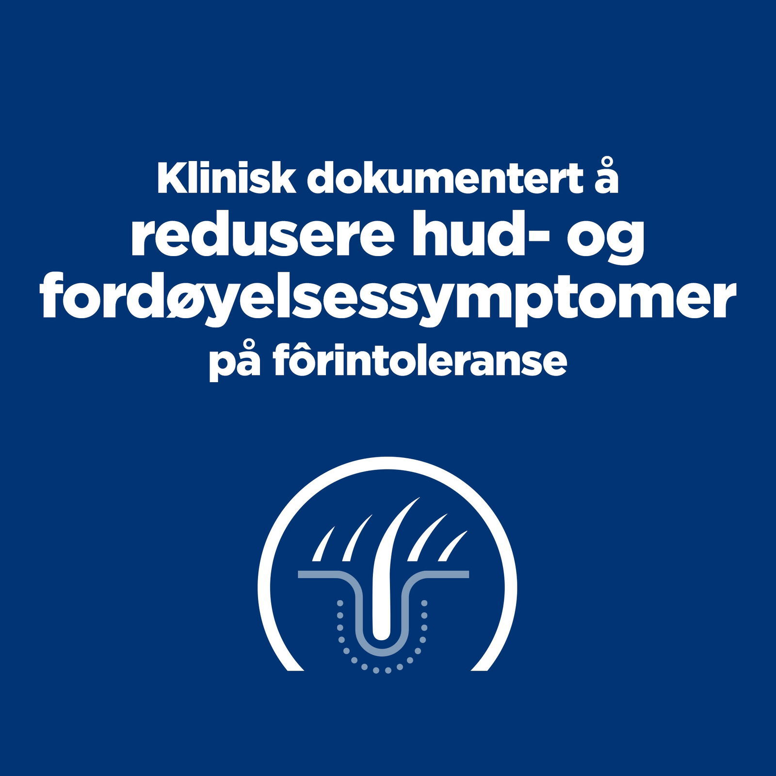 Hill's PRESCRIPTION DIET z/d Mini Dog Food 