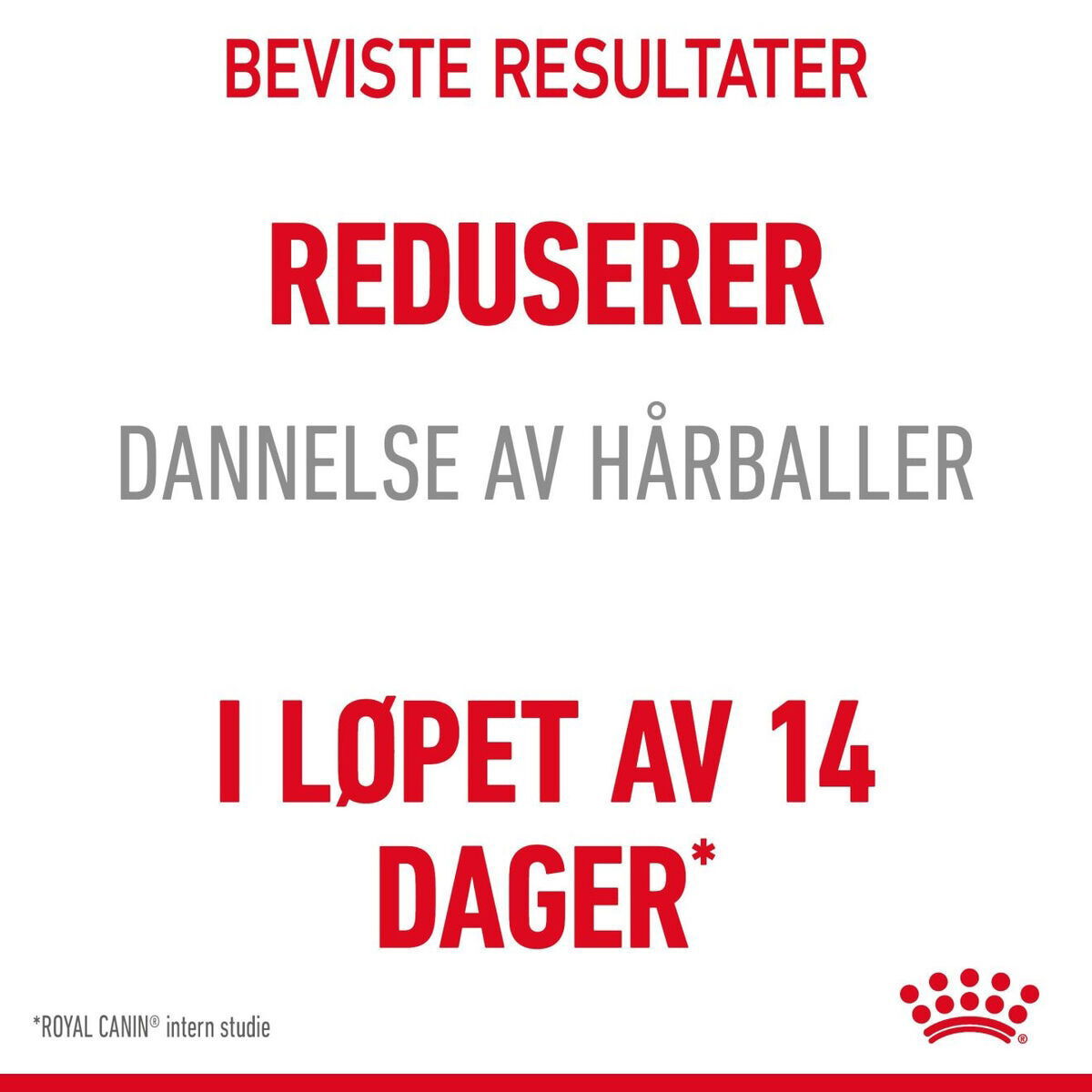 Royal Canin Hairball Care Adult tørrfôr til katt