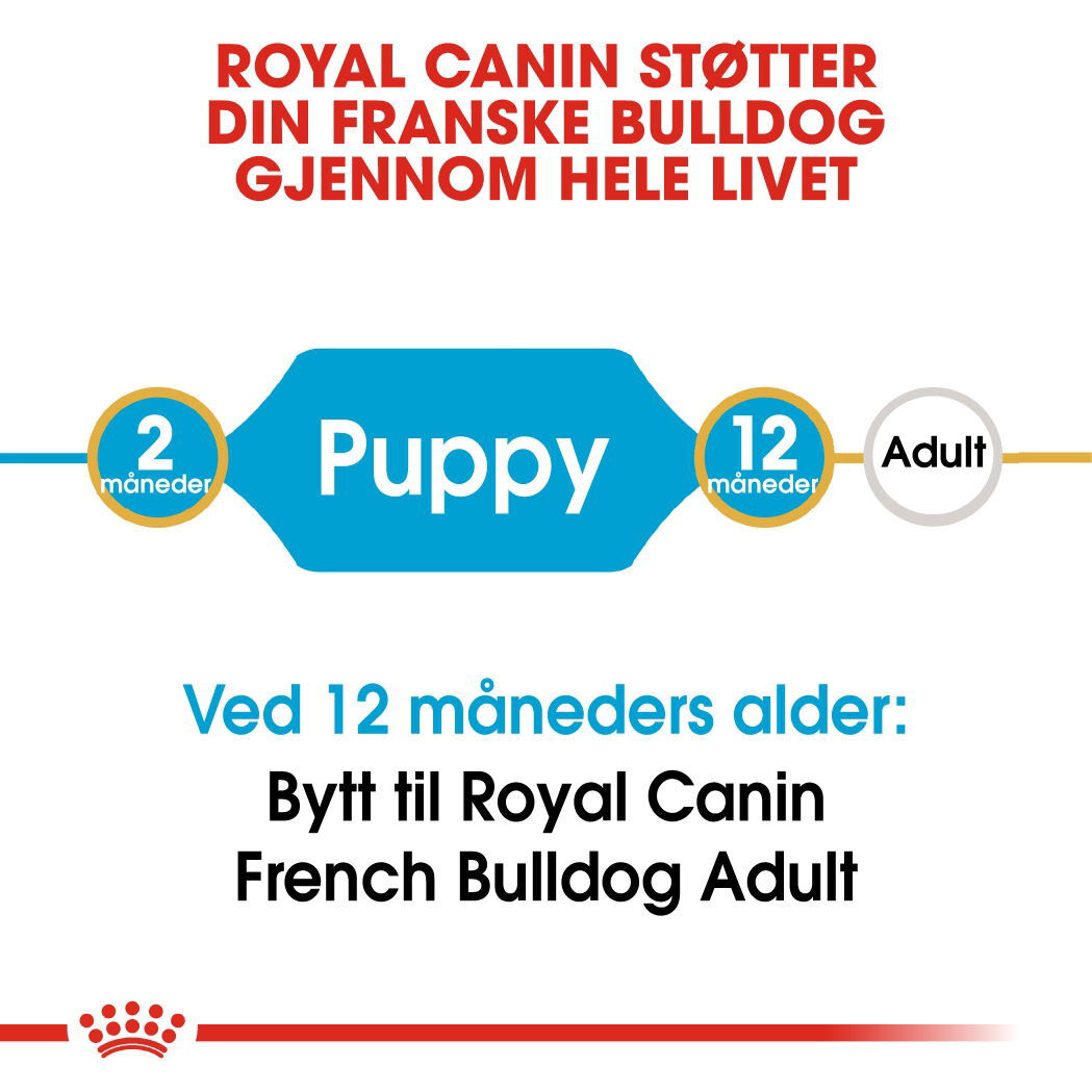 Royal Canin French Bulldog Puppy tørrfôr til hundvalp