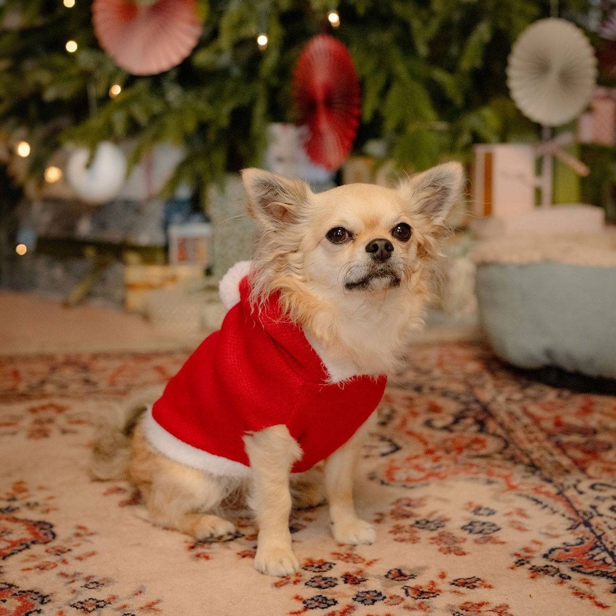 Little&Bigger Xmas Santa knit hoodie red