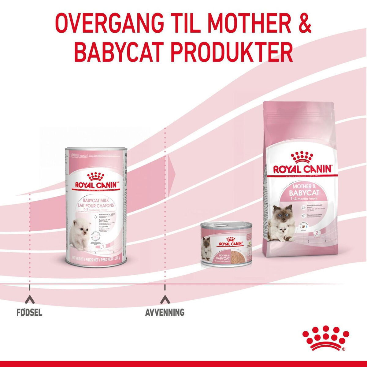 Royal Canin Babycat Milk melk til kattunge