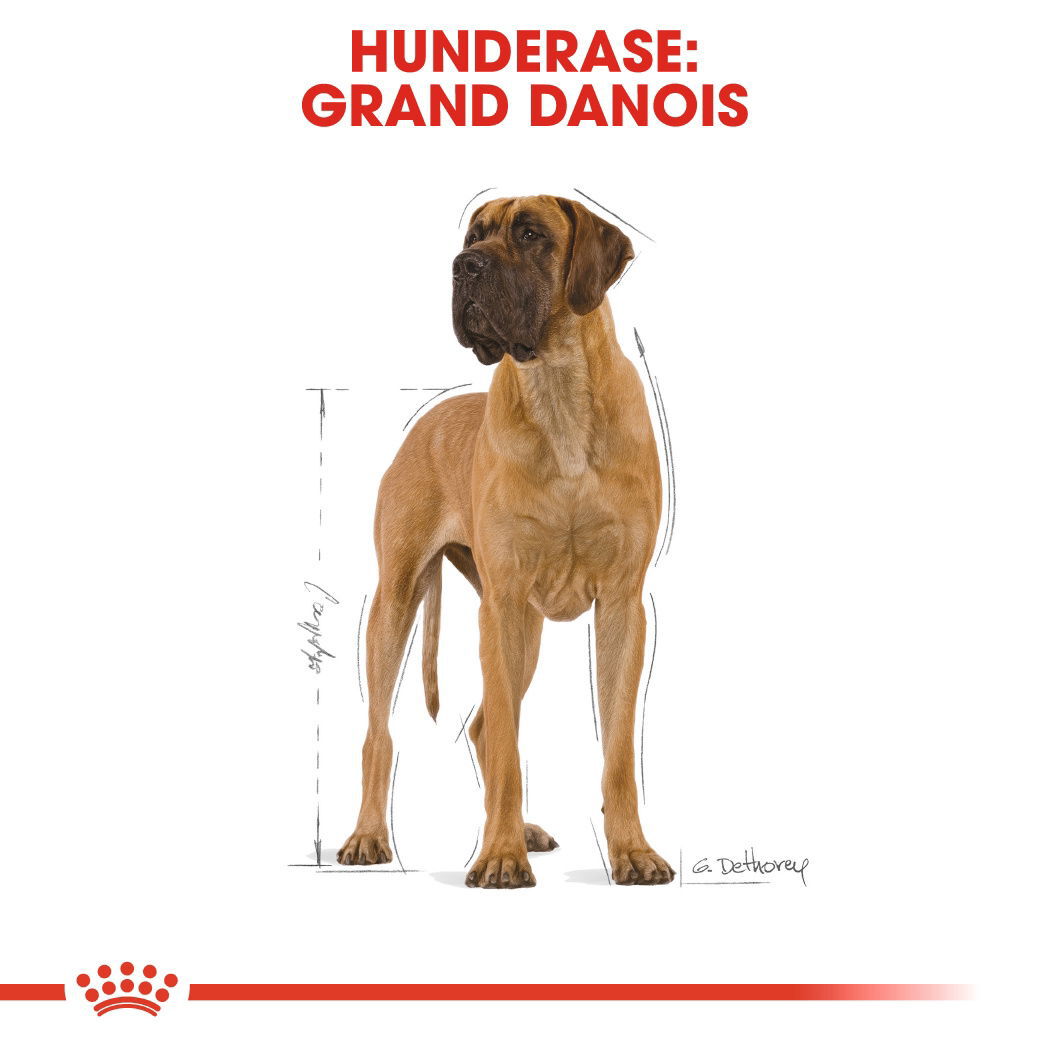 Royal Canin Great Dane Adult tørrfôr til hund