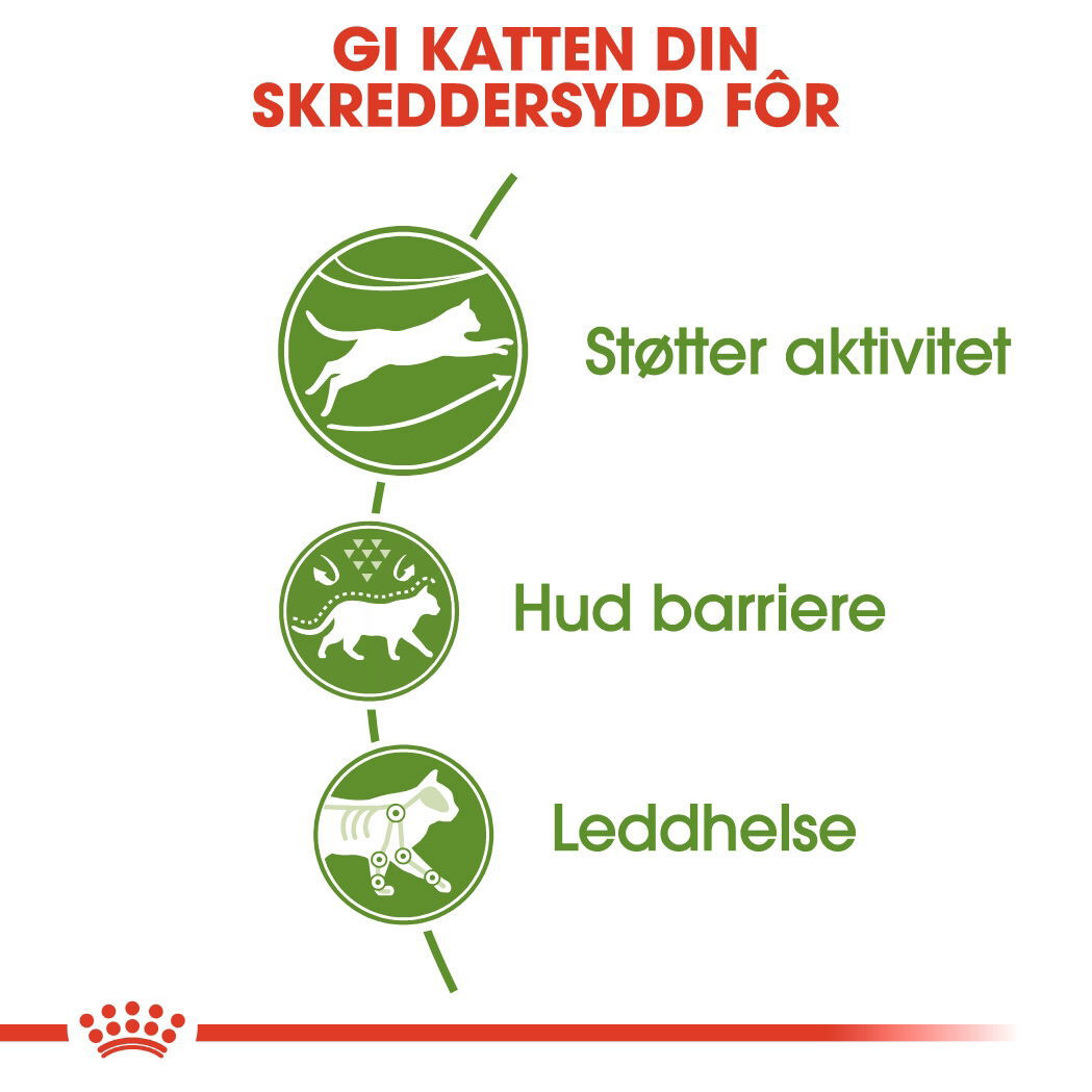 Royal Canin Outdoor Adult tørrfôr til katt