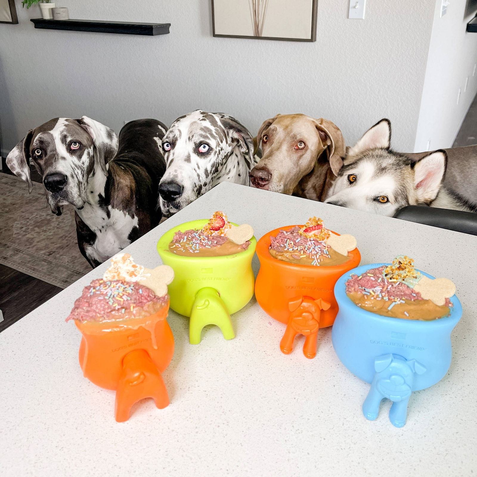 West Paw Toppl aqua blue