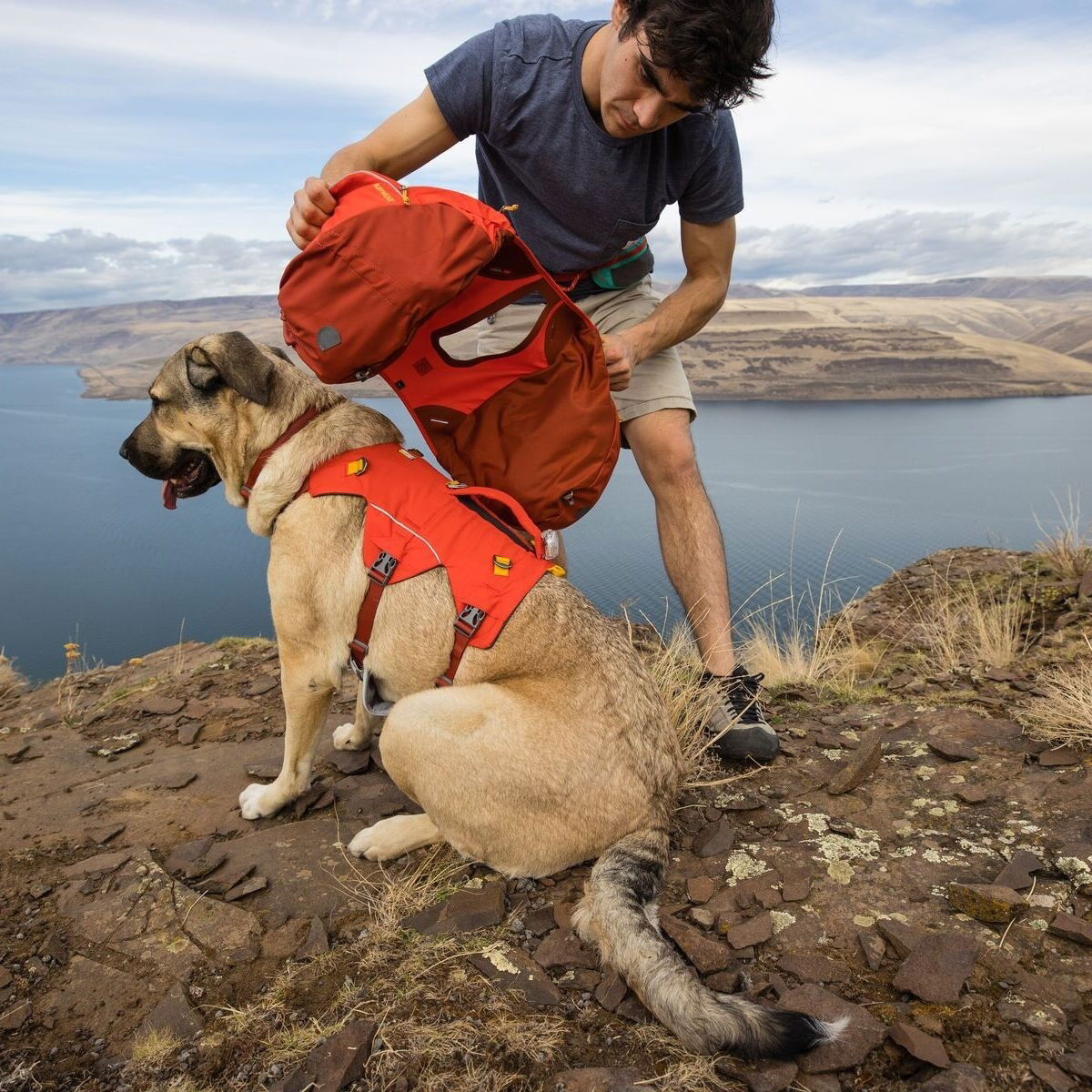 Ruffwear Palisades Pack, Red Sumac