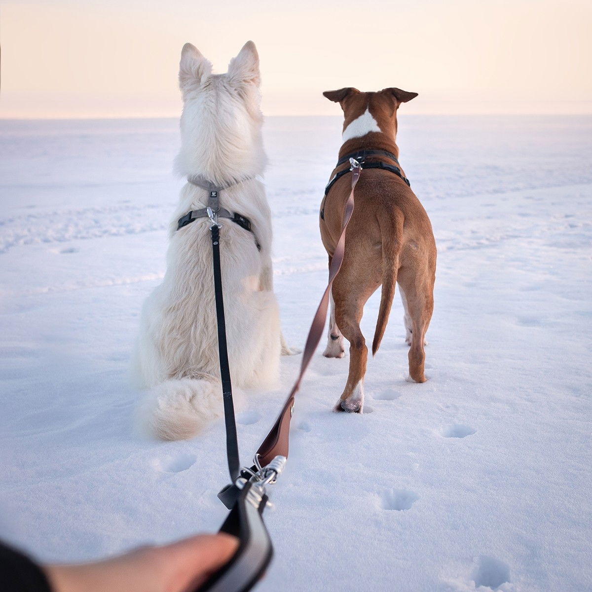 Tyylivoitto Ready handloop, twistlock