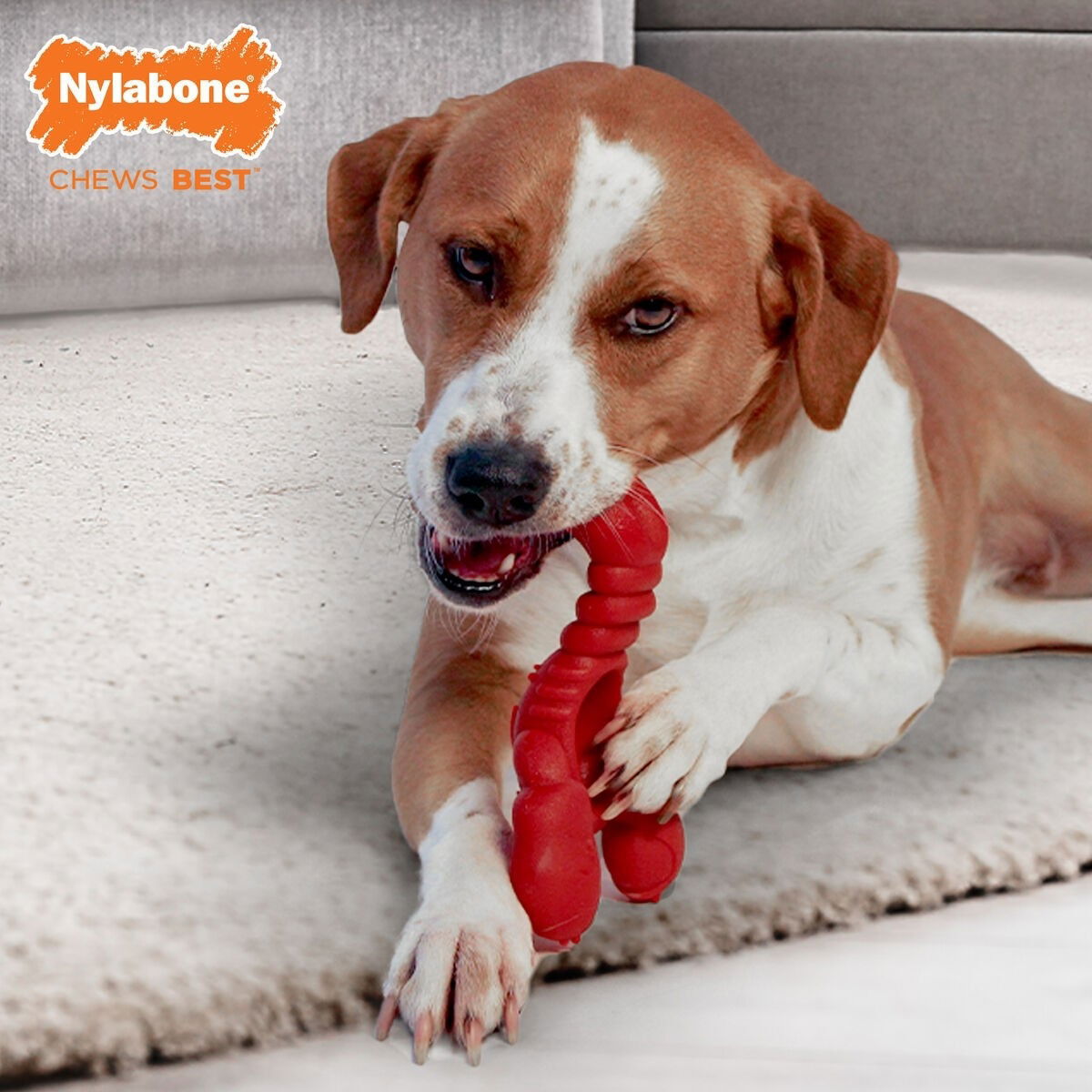 Nylabone Extreme Chew Lobster Filet Mignon X Large