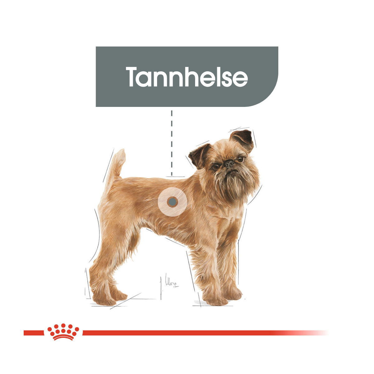 Royal Canin Dental Care Mini Adult tørrfôr til hund