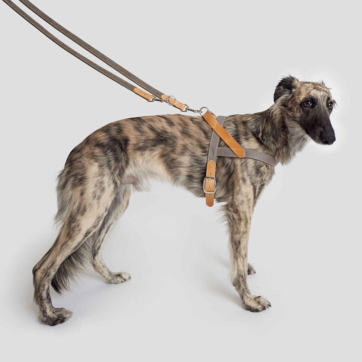 Cloud7 Harness Tivoli Greige