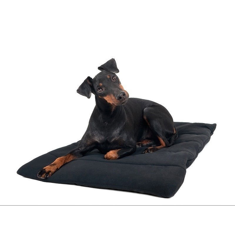 Back on Track Dog blanket, Black