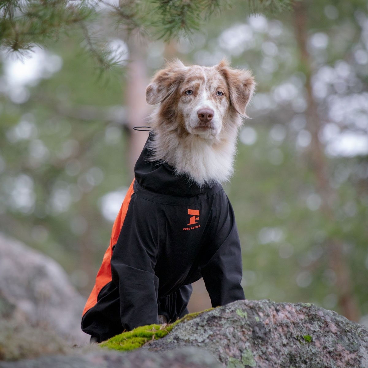 Feel Active Helsingborg refl. overall