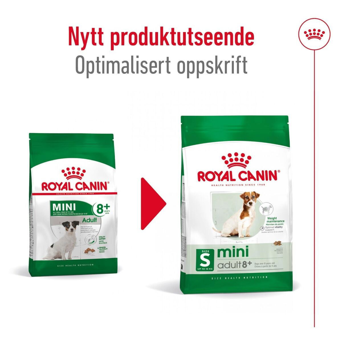 Royal Canin Mini Adult 8+ tørrfôr til hund