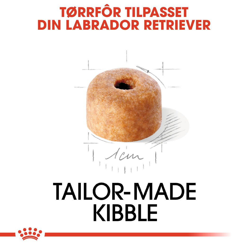 Royal Canin Labrador Retriever Puppy tørrfôr til hundvalp