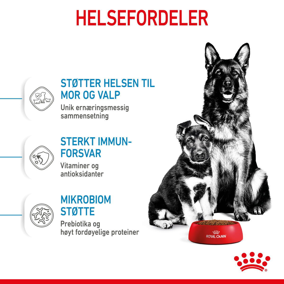 Royal Canin Maxi Starter tørrfôr til hund og valp