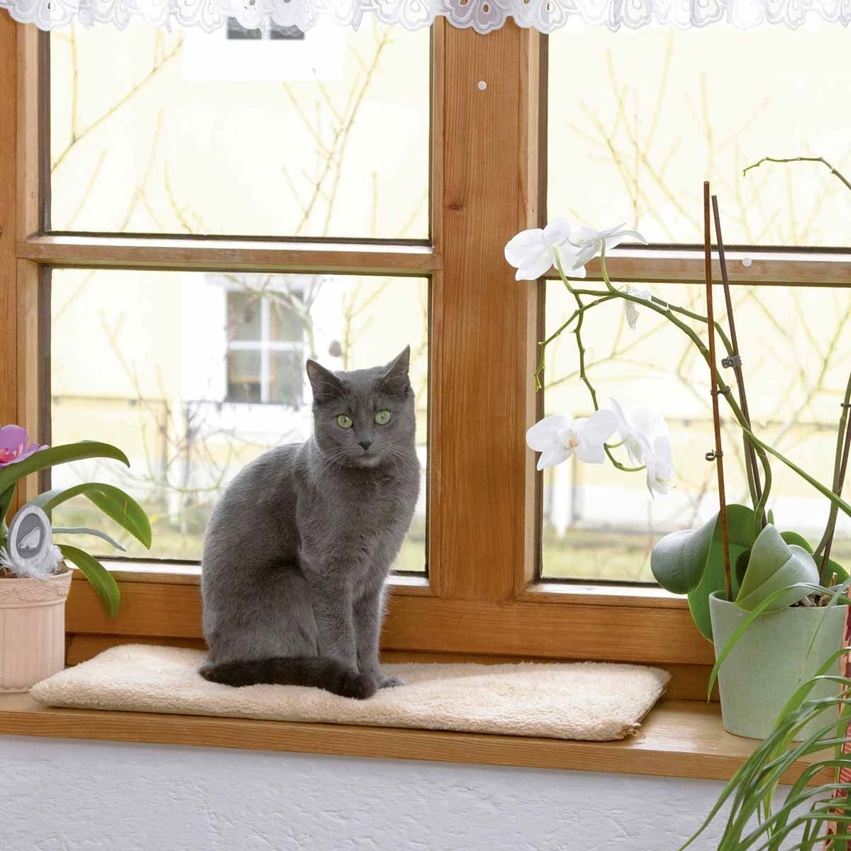 Vindusseng, selvoppvarmende