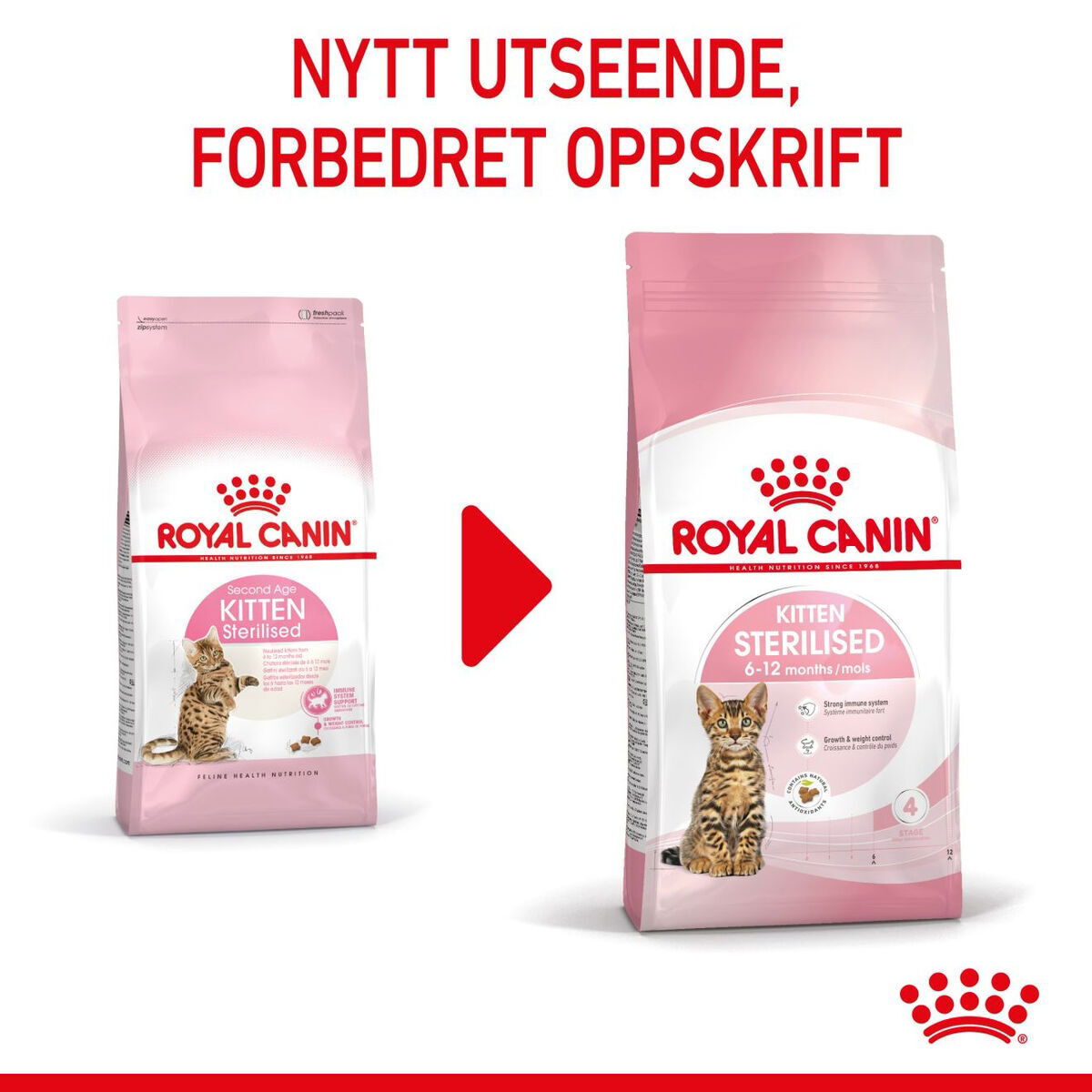 Royal Canin Kitten Sterilised tørrfôr til kattunge