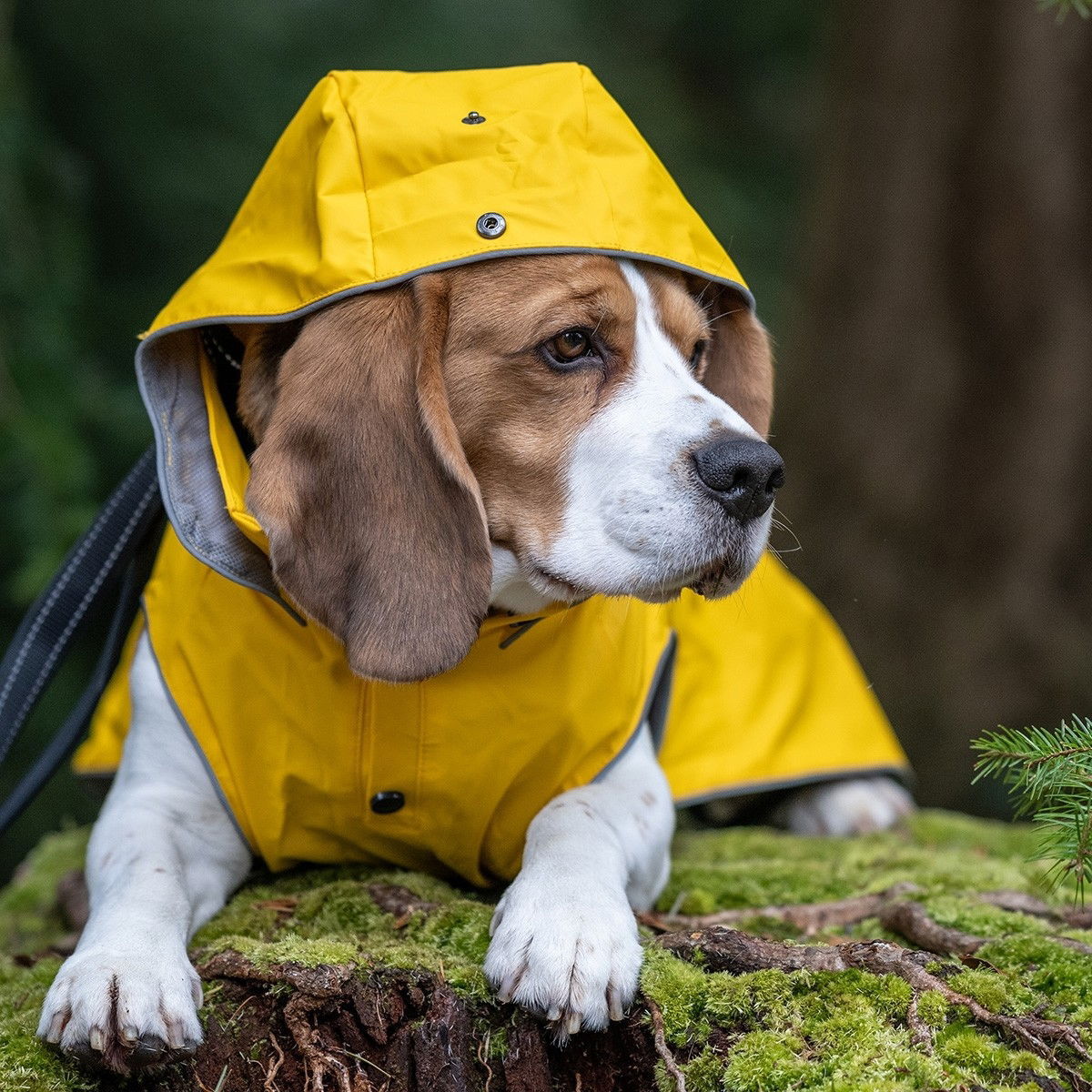 Rukka Stream regndekken gul