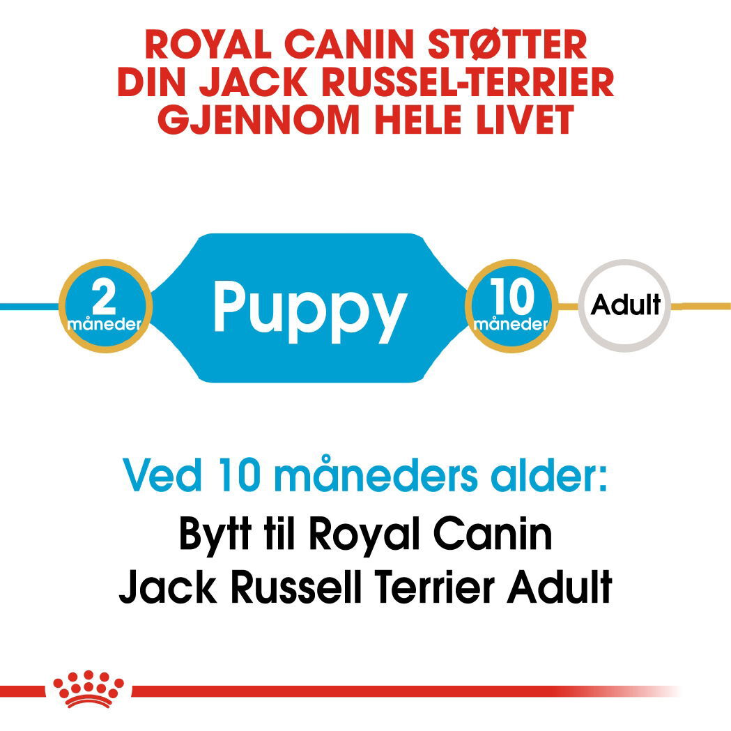 Royal Canin Jack Russel Puppy tørrfôr til hundvalp