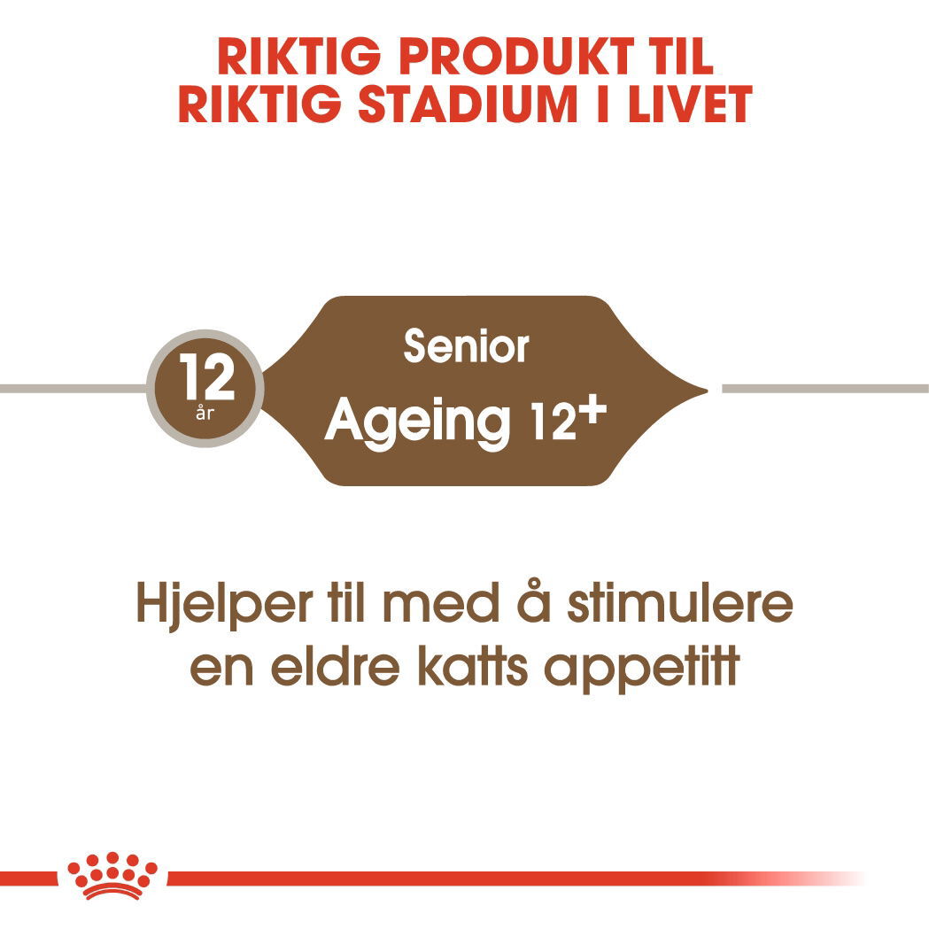 Royal Canin Ageing 12+ tørrfôr til katt