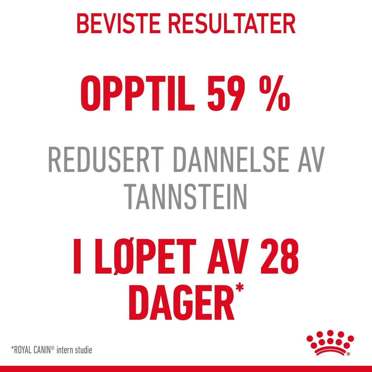 Royal Canin Dental Care Adult tørrfôr til katt