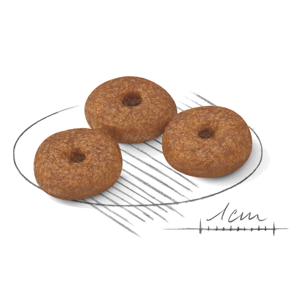 Royal Canin Mini Ageing 12+ tørrfôr til hund