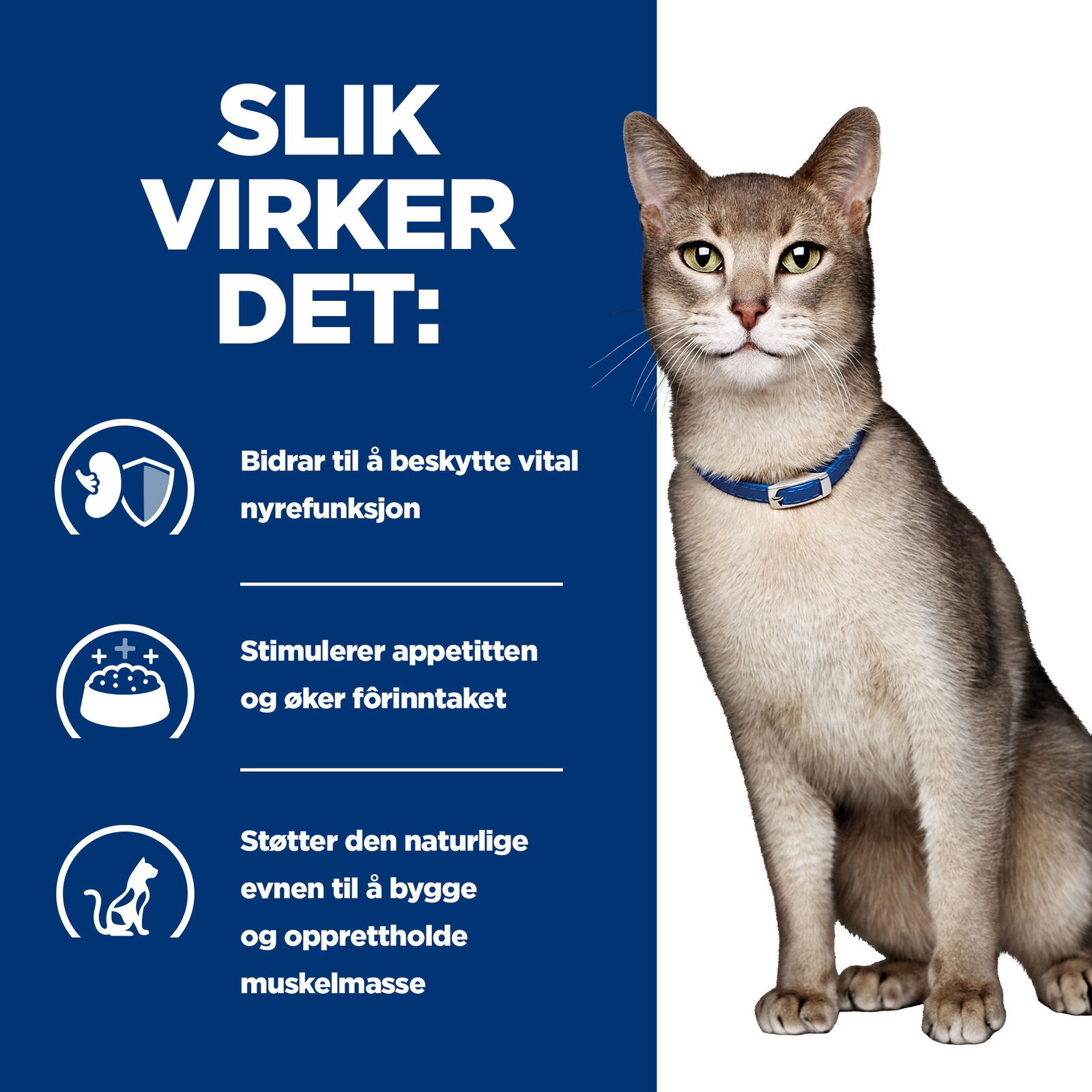 Hills Diet Cat k/d Chicken Portionspåse 12x85g