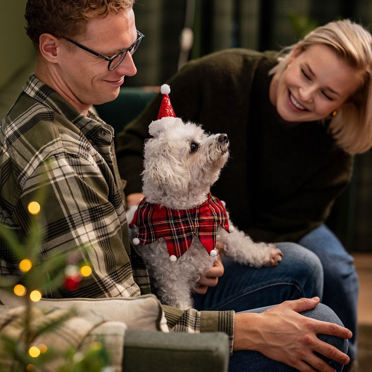 Little&Bigger Xmas Collar check