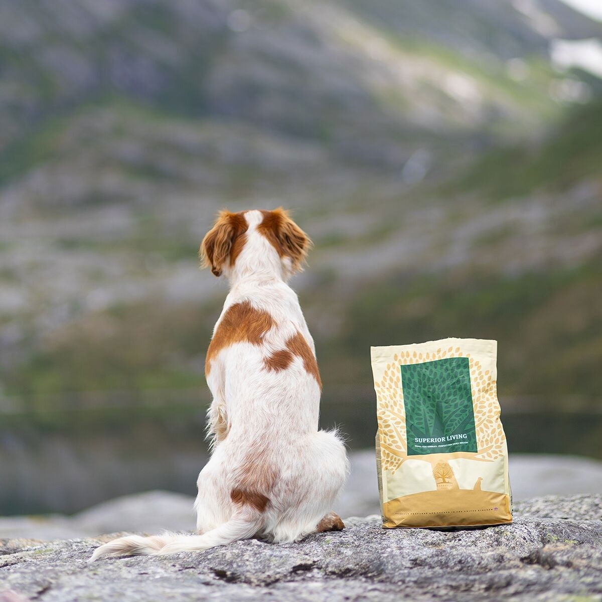 ESSENTIAL SUPERIOR LIVING 10kg