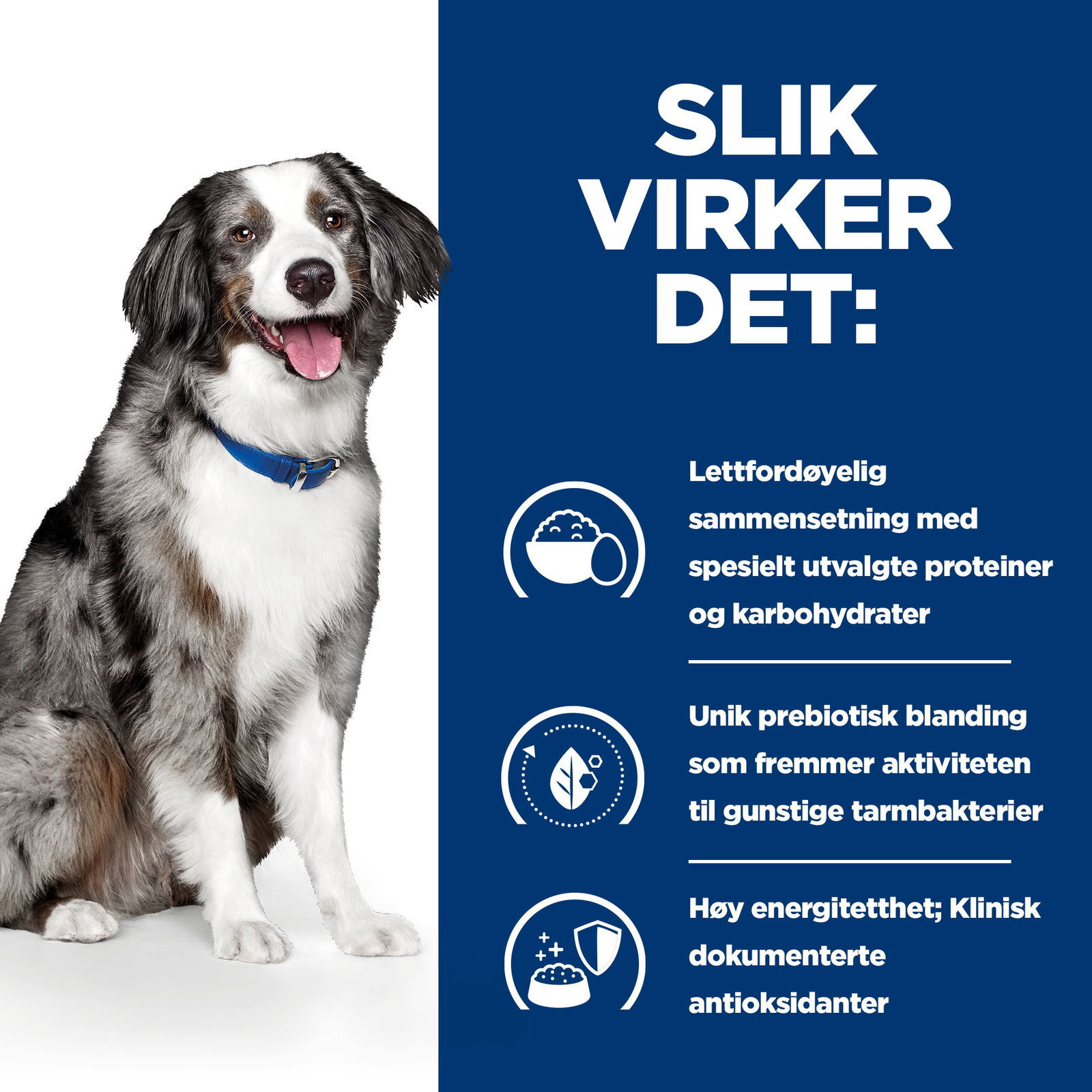 Hill's PRESCRIPTION DIET i/d Sensitive Dog Food Egg and Rice 