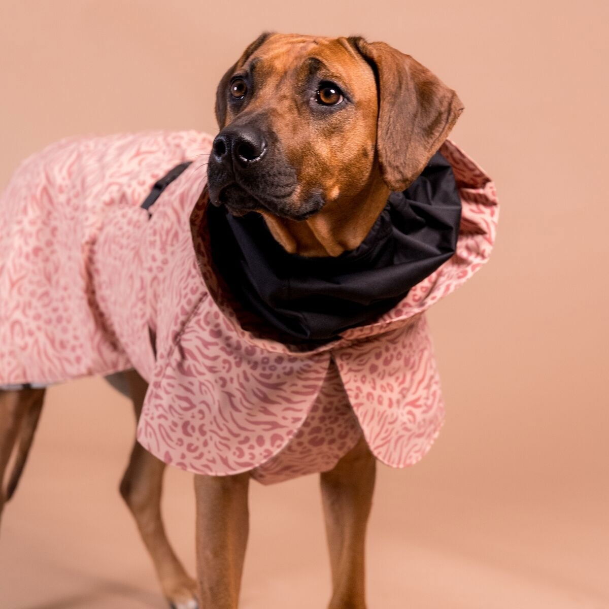 PAIKKA Visibility Winter Jacket, red mix