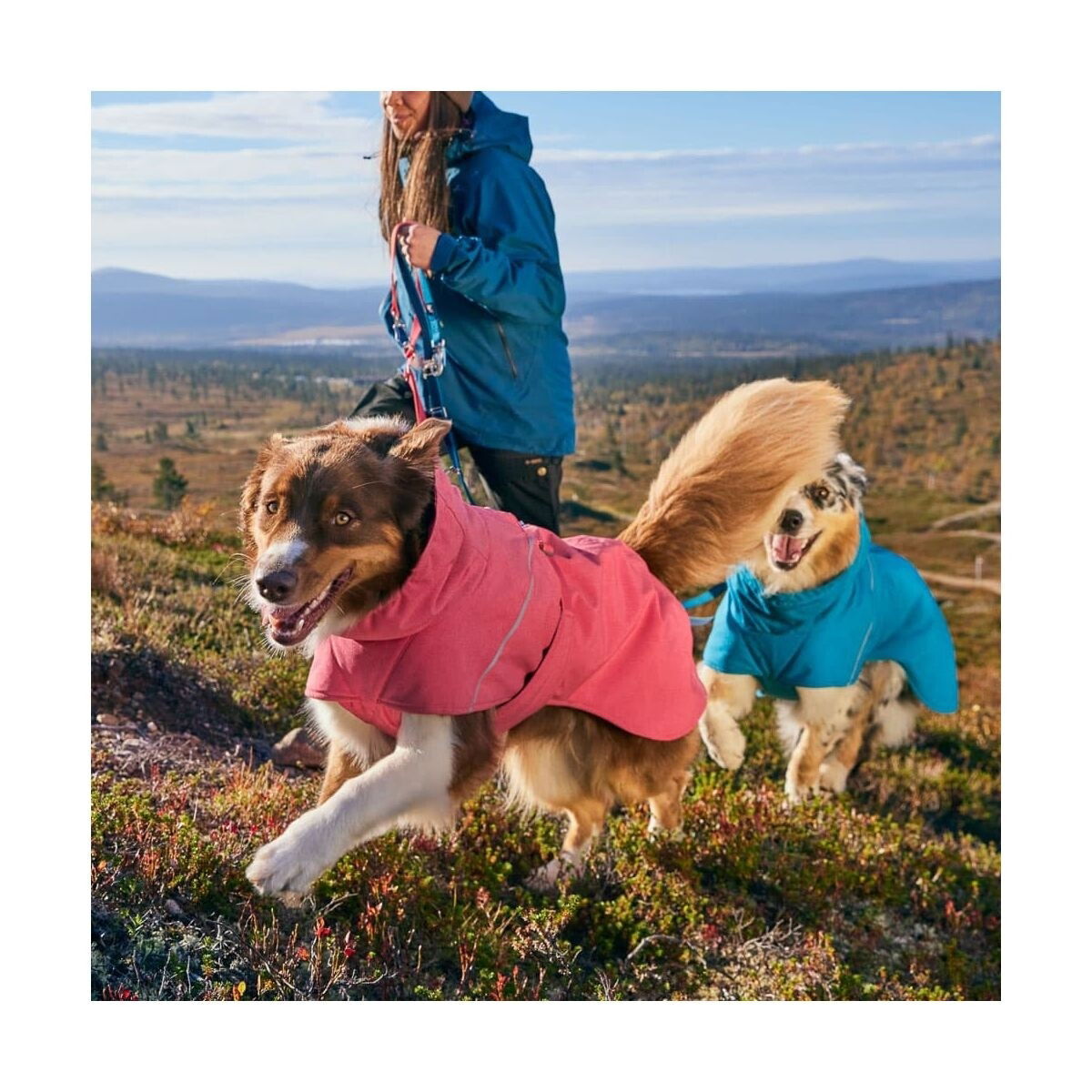 Hurtta Expedition Parka II Strawberry