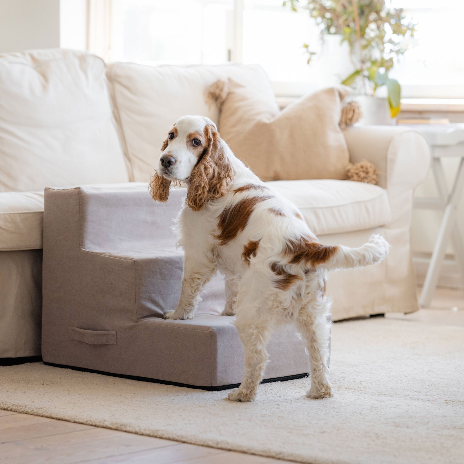 Basic Home pet stairs