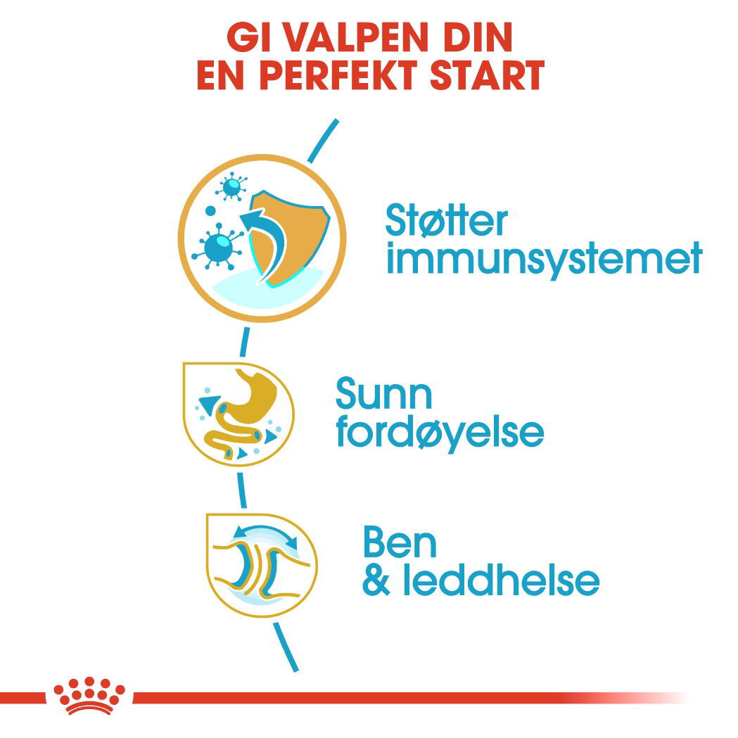 Royal Canin Bulldog Puppy tørrfôr til hundvalp